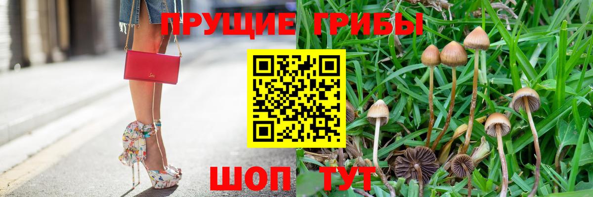 Галлюциногенные грибы Magic Shrooms  Вход с VPN  Кыштым 